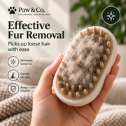 Paw & Co. MistBrush™ | 3-in-1 Pet Grooming Brush